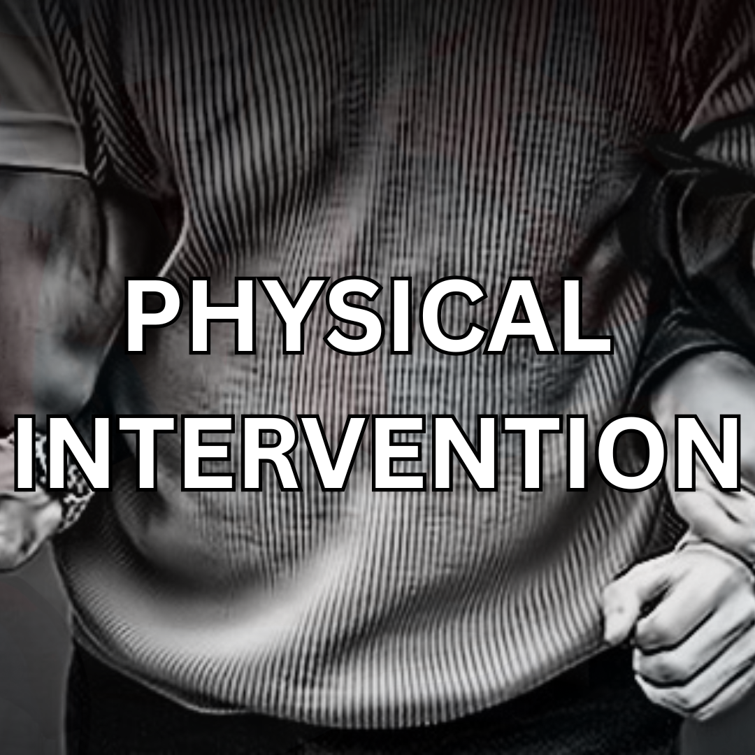 Physical Intervention Course
